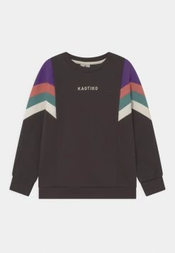 Kaotiko CREW SEATTLE UNISEX - Sweatshirt - Grey/purple/rouge/basil