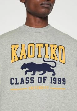 Kaotiko UNISEX - Sweatshirt - Grey -Kaotiko Shop c11f1eee2fde40f488fe6ffb82c3a152