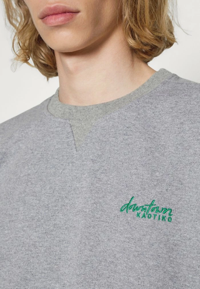 CREW BRETT UNISEX - Zip-up sweatshirt - grey Kaotiko CREW BRETT UNISEX - Zip-up Sweatshirt - Grey -Kaotiko Shop f2e46232a0a442ab9cc0387878f22046